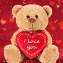 valentine bear