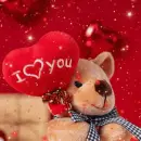 valentine bear