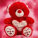 valentine bear