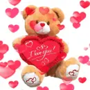 valentine bear