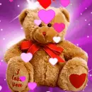 valentine bear