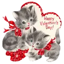 valentine kiitties