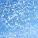 Winter Snowflakes 