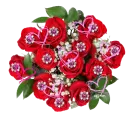 valentine rose bouquet