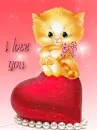 I love you kitty