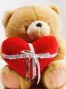 valentine bear