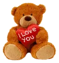 I love you bear