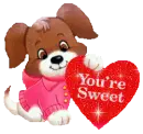 you're sweet puppy