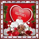 happy Valentine's day