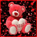 valentine bear