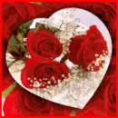 heart and roses