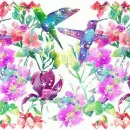 hummingbirds