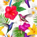 hummingbirds