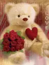 Love bear