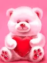 valentine bear