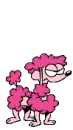 angry poodle