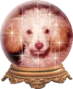 dog globe