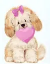 fluffy dog with a heart