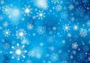 Winter Snowflakes 
