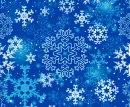 Winter Snowflakes 