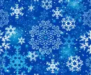Winter Snowflakes 