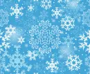 Winter Snowflakes 