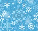 Winter Snowflakes 