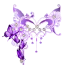 butterflies