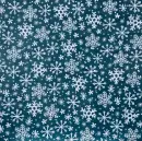 Winter Snowflakes 