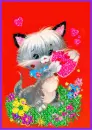 valentine kitty