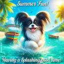 Summer Fun!
