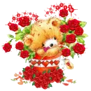 valentine bear
