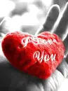 I love you