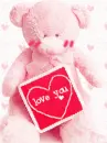 love you bear