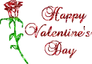 happy valentine's day rose