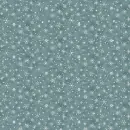 Winter Snowflakes 