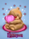 I love you bear