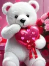 teddy bear