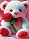 teddy bear