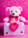 teddy bear