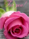 rose for you