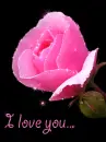 I love you