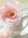 good morning