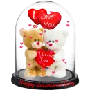 happy Valentine's day snow globe