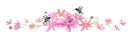 hummingbirds