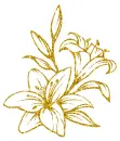 lilies
