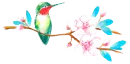 hummingbird