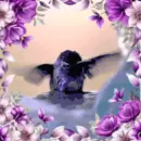 hummingbird