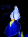 only you