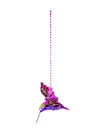 hummingbird